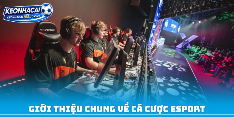 Giới thiệu chung về cá cược Esport