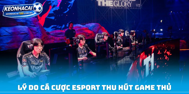 Lý do cá cược Esport thu hút game thủ