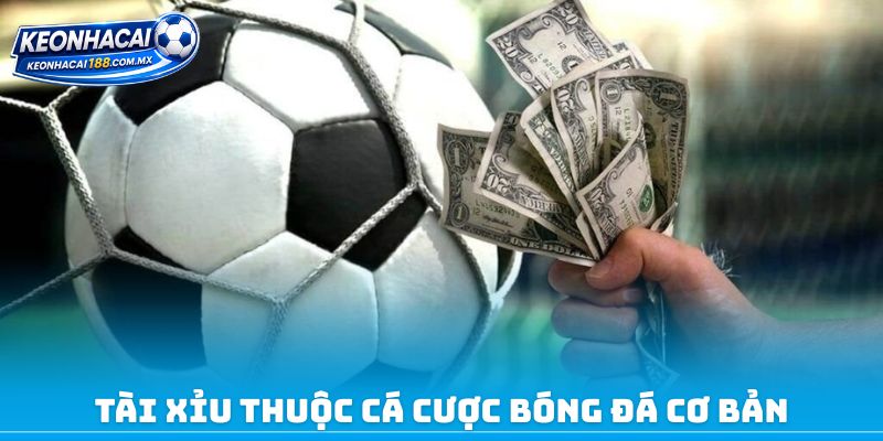 Tài Xỉu thuộc cá cược bóng đá cơ bản 