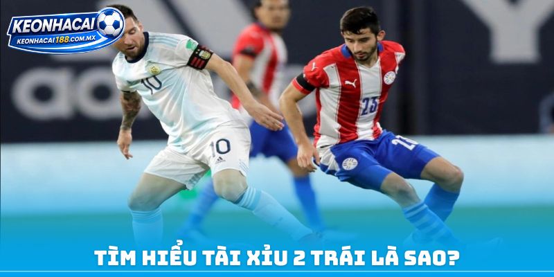 Tìm hiểu tài xỉu 2 trái là sao?